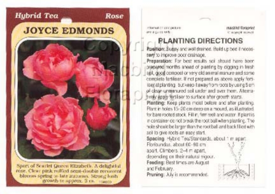 Picture of ROSE JOYCE EDMONDS (HT)                                                                                                                               