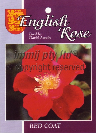 Picture of ROSE RED COAT (English)                                                                                                                               