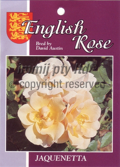 Picture of ROSE JAQUENETTA (English)                                                                                                                             