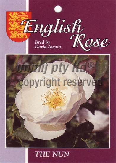 Picture of ROSE THE NUN (English)                                                                                                                                