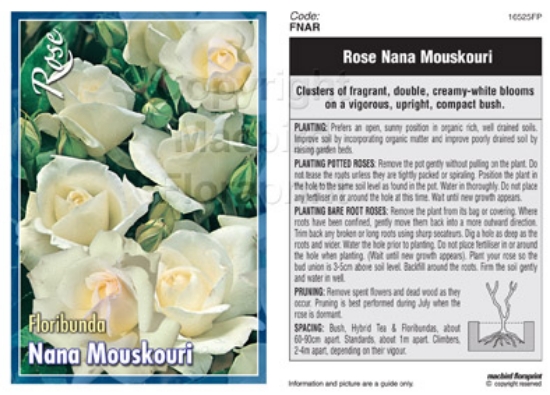 Picture of ROSE NANA MOUSKOURI (FL)                                                                                                                              