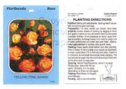 Picture of ROSE BICOLOUR YELLOW PINK (UNNAMED VARIETY) (FL)                                                                                                      