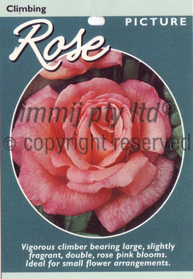Picture of ROSE PICTURE CLIMBING                                                                                                                                 