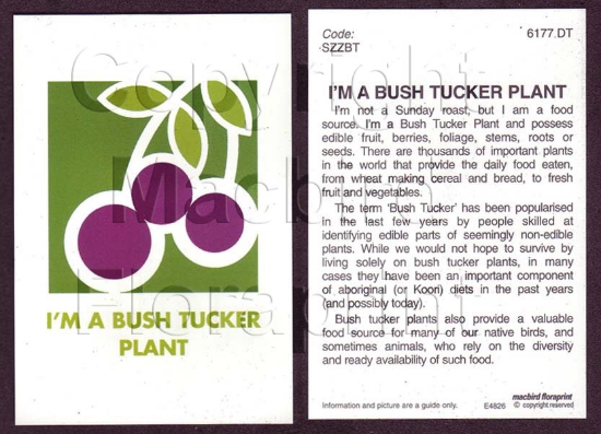 Picture of I&#39;M A BUSH TUCKER PLANT                                                                                                                           