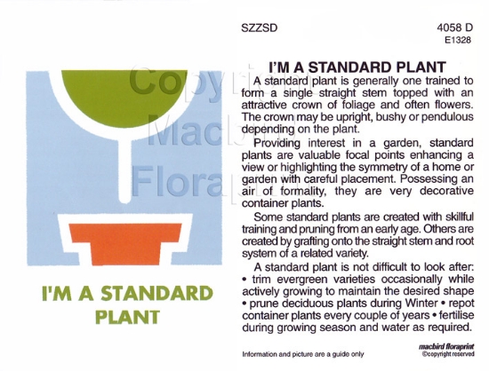 Picture of I&#39;M A STANDARD PLANT                                                                                                                              