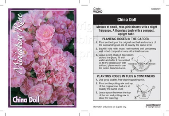 Picture of ROSE MINI CHINA DOLL                                                                                                                                  