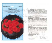 Picture of ROSE MINI KAIKOURA                                                                                                                                    