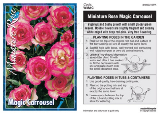 Picture of ROSE MINI MAGIC CARROUSEL                                                                                                                             