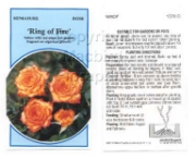 Picture of ROSE MINI RING OF FIRE                                                                                                                                