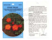 Picture of ROSE MINI STAR TRAIL                                                                                                                                  