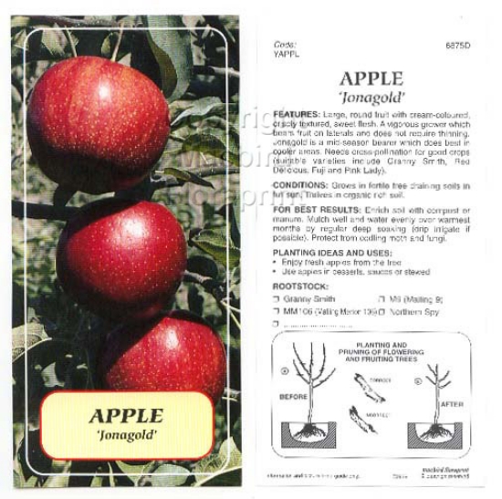 Picture of FRUIT APPLE JONAGOLD Jumbo Tag                                                                                                                        