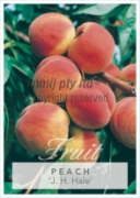 Picture of FRUIT PEACH J H HALE (HERITAGE) Jumbo Tag                                                                                                             