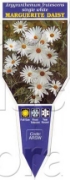 Picture of ARGYRANTHEMUM FRUTESCENS SINGLE WHITE MARGUERITE D                                                                                                    