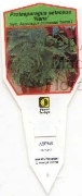 Picture of PROTASPARAGUS SETACEUS NANA                                                                                                                           
