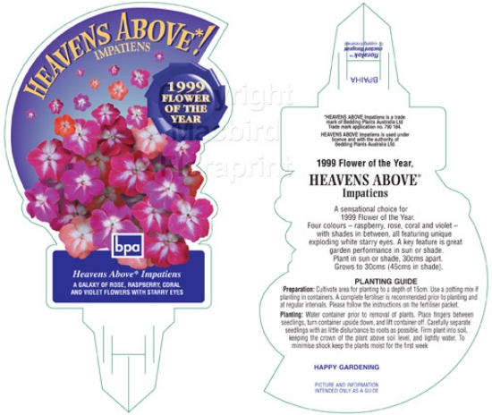 Picture of ANNUAL IMPATIENS HEAVENS ABOVE (Impatiens walleriana)                                                                                                 