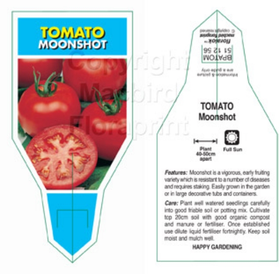 Picture of VEGETABLE TOMATO MOONSHOT (Lycopersicon esculentum)                                                                                                   