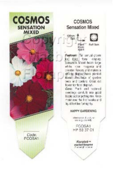 Picture of ANNUAL COSMOS SENSATION MIXED                                                                                                                         