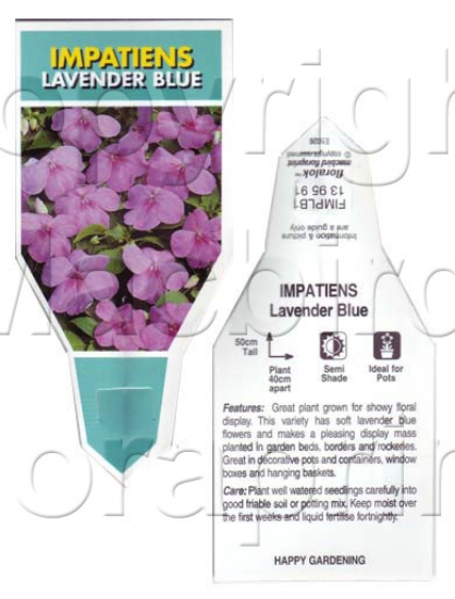 Picture of ANNUAL IMPATIENS LAVENDER BLUE (Impatiens walleriana)                                                                                                 