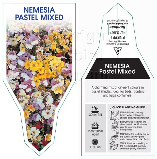 Picture of ANNUAL NEMESIA FANTASIA PASTEL MIXED                                                                                                                  