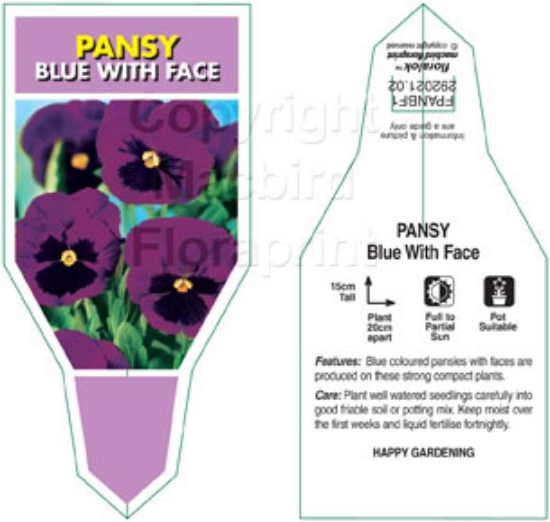 Picture of ANNUAL PANSY BLUE WITH FACE (Viola x wittrockiana)                                                                                                    