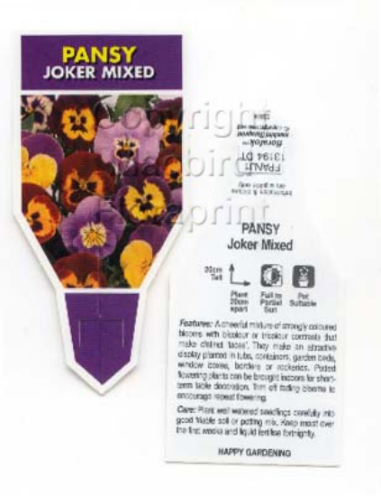 Picture of ANNUAL PANSY JOKER MIXED (Viola x wittrockiana)                                                                                                       