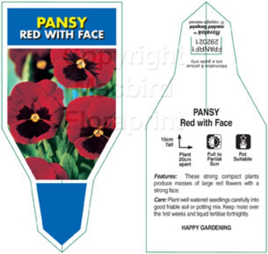 Picture of ANNUAL PANSY RED WITH FACE (Viola x wittrockiana)                                                                                                     