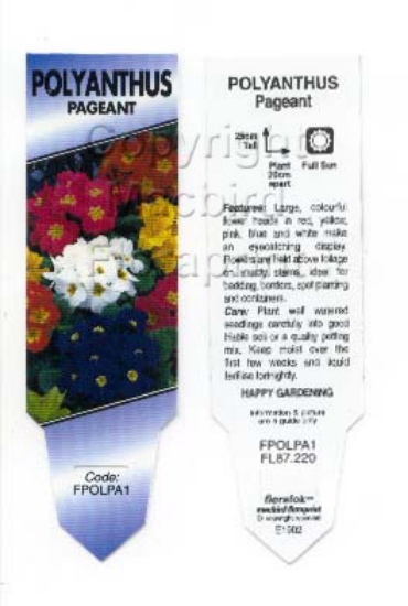 Picture of ANNUAL POLYANTHUS PAGEANT                                                                                                                             