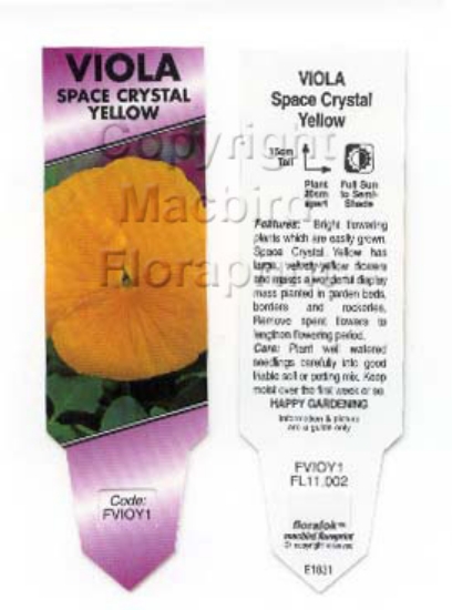 Picture of ANNUAL VIOLA CLEAR CRYSTALS YELLOW (Viola cornuta)                                                                                                    