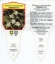Picture of SENECIO MIKANIODES GERMAN IVY                                                                                                                         