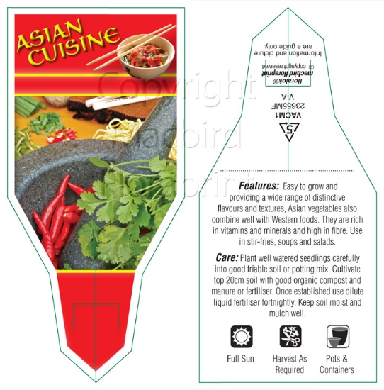 Picture of ASIAN CUISINE (UNNAMED VARIETY)                                                                                                                       