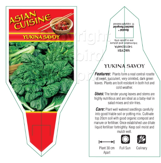 Picture of VEGETABLE YUKINA SAVOY                                                                                                                                