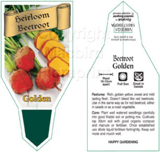 Picture of VEGETABLE BEETROOT HEIRLOOM GOLDEN (Beta vulgaris)                                                                                                    