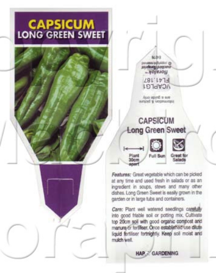 Picture of VEGETABLE CAPSICUM LONG GREEN SWEET (Capsicum annuum)                                                                                                 