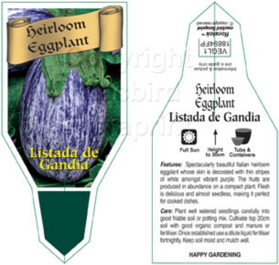 Picture of VEGETABLE EGGPLANT HEIRLOOM LISTADA DE GANDIA (Solanum melongena)                                                                                     