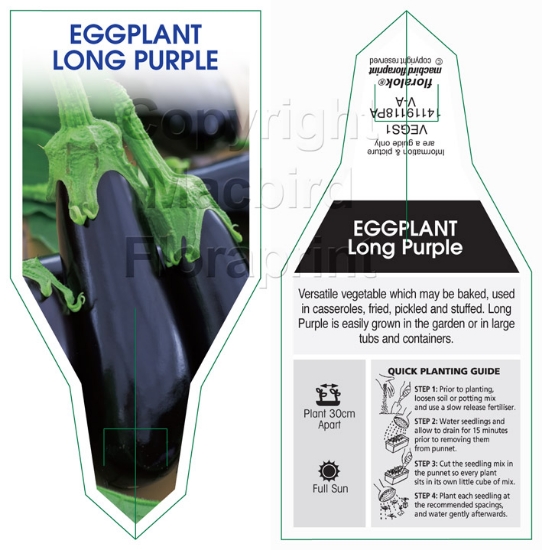 Picture of VEGETABLE EGGPLANT LONG PURPLE (Solanum melongena)                                                                                                    