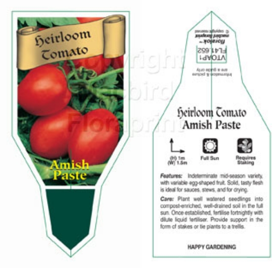 Picture of VEGETABLE TOMATO HEIRLOOM AMISH PASTE (Lycopersicon esculentum)                                                                                       
