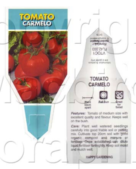 Picture of VEGETABLE TOMATO CARMELO (Lycopersicon esculentum)                                                                                                    