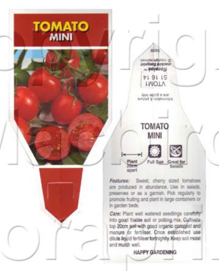 Picture of VEGETABLE TOMATO MINI (Lycopersicon esculentum)                                                                                                       