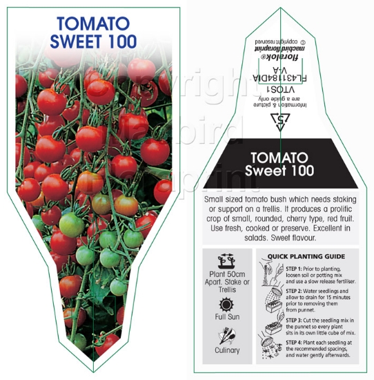 Picture of VEGETABLE TOMATO SWEET 100 (Lycopersicon esculentum)                                                                                                  