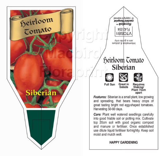 Picture of VEGETABLE TOMATO HEIRLOOM SIBERIAN (Lycopersicon esculentum)                                                                                          