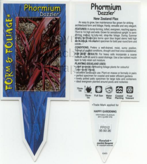 Picture of PHORMIUM DAZZLER                                                                                                                                      