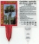 Picture of CORDYLINE AUSTRALIS                                                                                                                                   