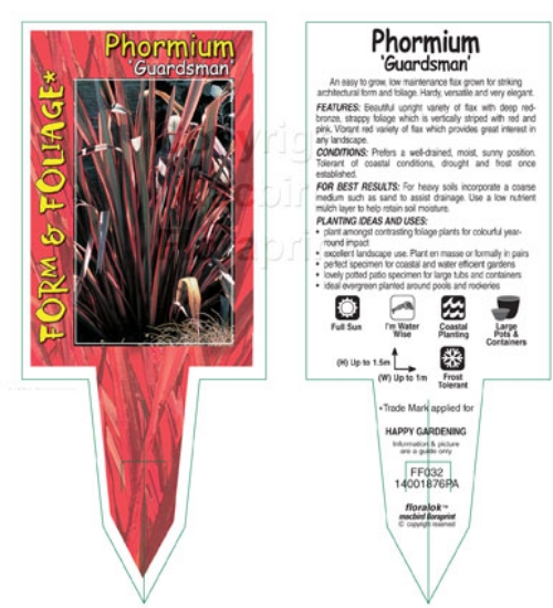 Picture of PHORMIUM GUARDSMAN                                                                                                                                    