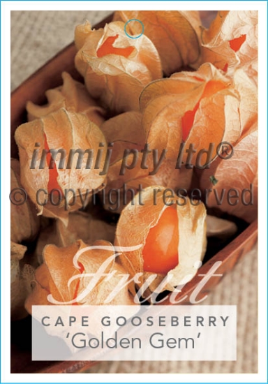 Picture of FRUIT GOOSEBERRY CAPE GOLDEN GEM                                                                                                                      