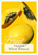 Picture of FRUIT PAWPAW BISEXUAL                                                                                                                                 