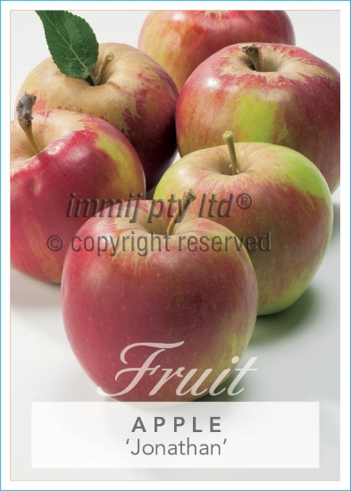 Picture of FRUIT APPLE JONATHAN Jumbo Tag                                                                                                                        