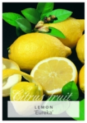 Picture of FRUIT CITRUS LEMON EUREKA Jumbo Tag                                                                                                                   