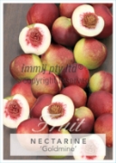 Picture of FRUIT NECTARINE GOLDMINE (HERITAGE) Jumbo Tag                                                                                                         