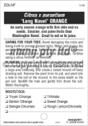 Picture of FRUIT CITRUS ORANGE LENG NAVEL                                                                                                                        