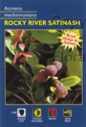 Picture of ACMENA MACKINNONIANA ROCKY RIVER SATINASH                                                                                                             